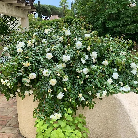 Elegant In With Private Pool Villa Vilamoura