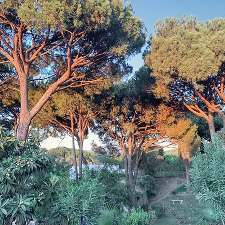 Elegant In With Private Pool