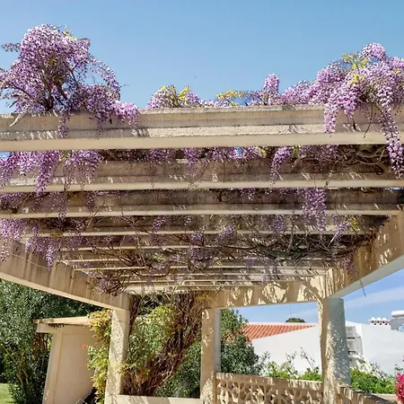 Elegant In With Private Pool فيلة