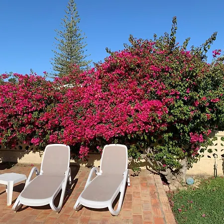 Elegant In With Private Pool فيلة