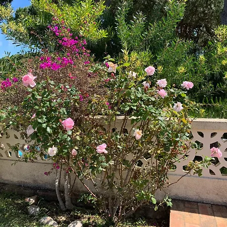 فيلة Elegant In With Private Pool *