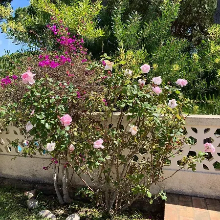 Elegant In With Private Pool Vilamoura