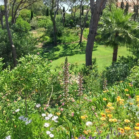 Elegant In With Private Pool Villa *