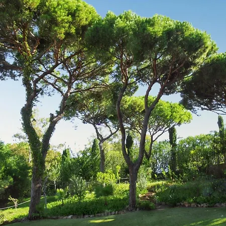 Villa Elegant In With Private Pool *