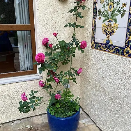 Elegant In With Private Pool 빌라